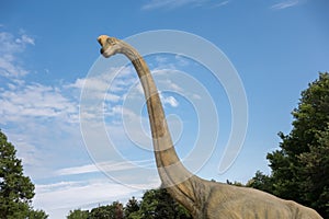 Brachiosaurus realistic model. Head close of dinosaur