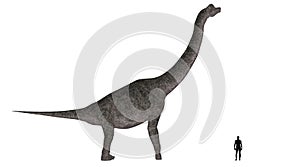 Brachiosaurus Size Comparison photo