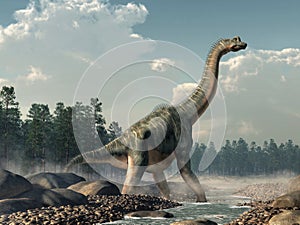 Brachiosaurus in a Stream