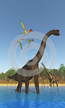 Jurassic Period Brachiosaurus Titanic Dinosaur photo