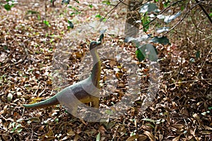 Brachiosaurus toy in the nature