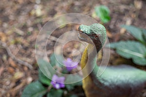 Brachiosaurus toy in the nature