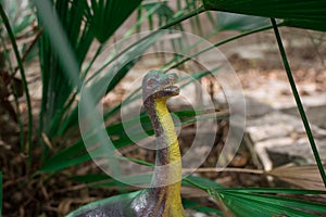 Brachiosaurus toy in the nature