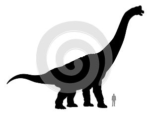 Brachiosaurus