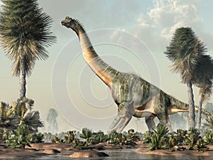 Brachiosaurus in a Wetland