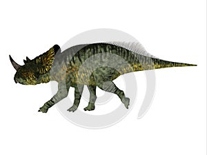 Brachyceratops Cretaceous Dinosaur