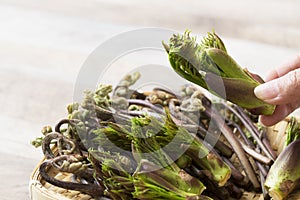 Bracken and cod buds in bamboo colander