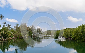 Brackish water canal through the island