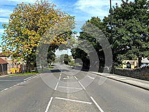 Bradford Road, with houses, old trees, and a blue sky in, Guiseley, Leeds, UK