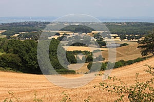 Isle of Wight Downland and Countryside Views photo