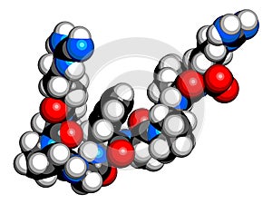 Bradykinin peptide molecule. 3D rendering.