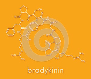 Bradykinin peptide molecule. Skeletal formula