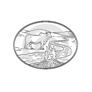 Brahman Bull Standing with Winding River or Creek Mountain Range and Campfire Line Art Drawing Tattoo Style Black and White