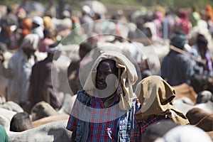 Brahman bull, Zebu and other cattle at one of the largest livestock market in the horn of Africa countries. Babile. Ethiopia.