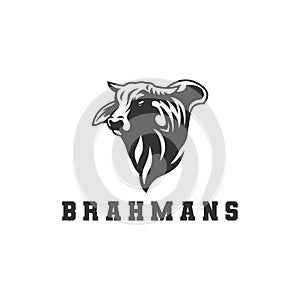 Brahman cow logo, vector logo. photo