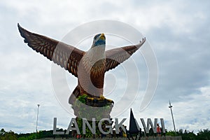 Brahmin kite, Kuah, Langkawi, Malaysia
