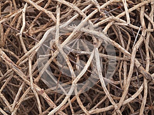 Braid of branches with wire