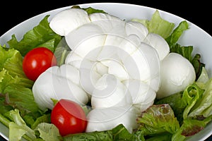 Braid of Italian mozzarella