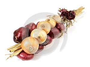 Braided Bunch of Onions on white Background - Isolated