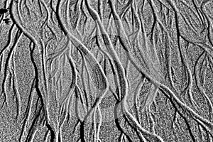 Braided Channels on sand