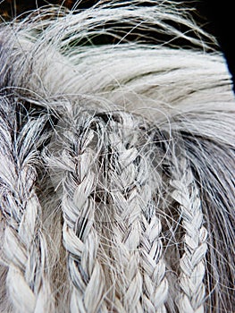 Braided horse hair grey pony