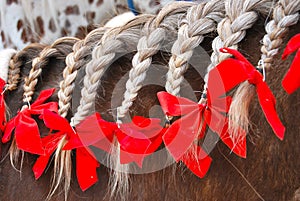 Braided horse mane with red bows