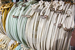 Braided Lariat Rope photo