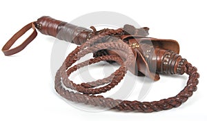 Braided Whip photo