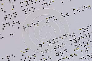 Braille Text on White Surface