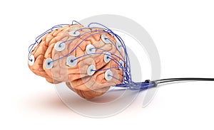 Brain analysis. Polygraph test.