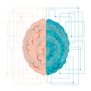 Brain of artificial intelligence. Left and right hemisphere with neural connections