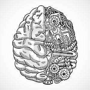 Brain as processing machine