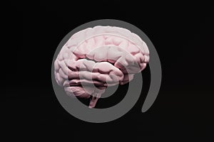 brain on a black background. 3D render
