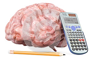 Brain with calculator and pencil, research concept. 3D rendering