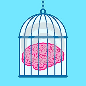 Brain captured in birdcage