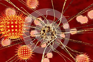 Brain cell infected by viruses