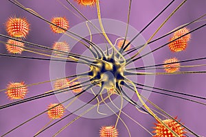 Brain cell infected by viruses