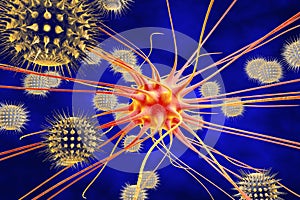 Brain cell infected by viruses