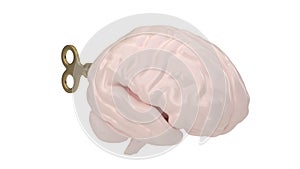 Brain with clockwork key Isolated On White Background, 3D rendering. 3D illustration