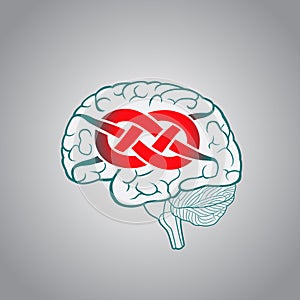 Brain with convolutions associated to the knot