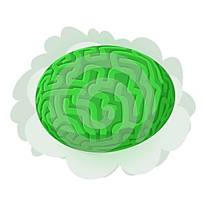 Brain coral icon isometric vector. Green diploria labyrinthiformis icon photo