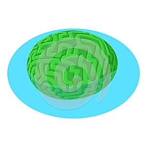 Brain coral icon isometric vector. Green diploria labyrinthiformis in water icon photo