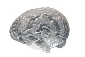 Brain covered with dust