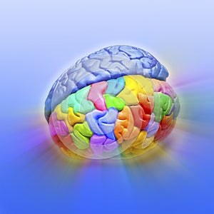 Brain Creativity Psychology Mind