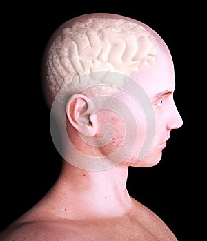 Brain, degenerative diseases, Parkinson`s, human body, face photo