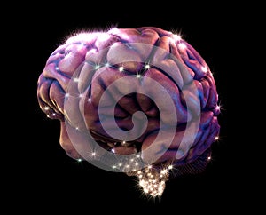 Brain depiction