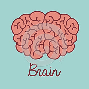 Brain design