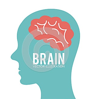 Brain design, vector illustration.