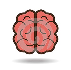 Brain design, vector illustration.