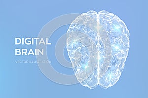 Brain. Digital brain. 3D Science and Technology concept. Neural network. IQ testing, artificial intelligence virtual